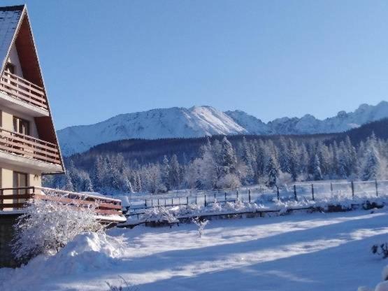 Willa Marysieńka Bed and Breakfast Zakopane Esterno foto